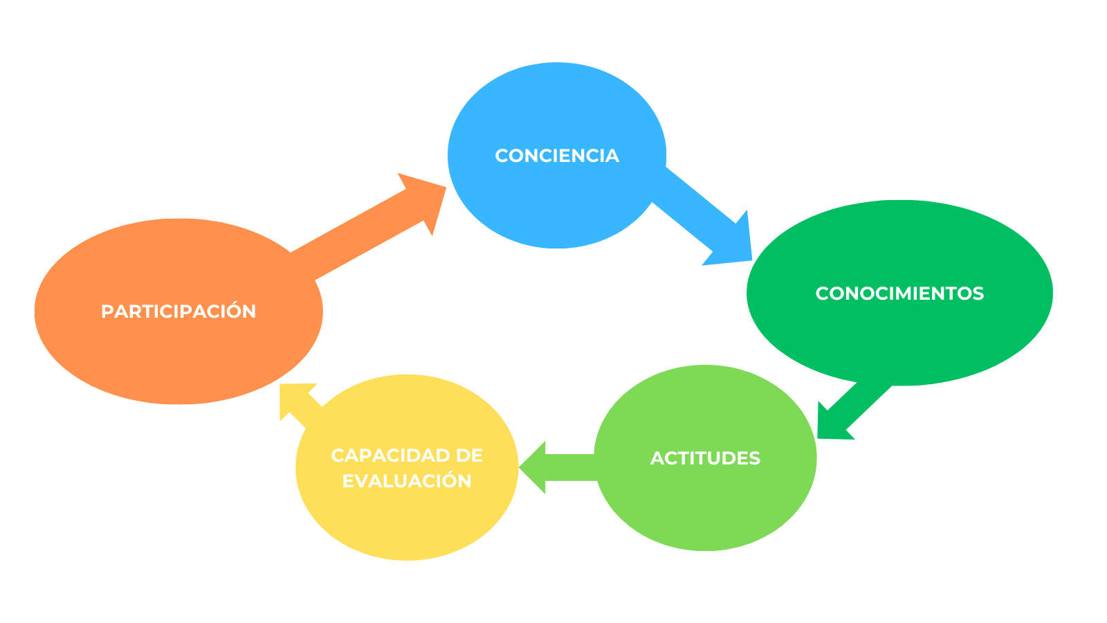 proyectodona-mapa conceptual-objetivos